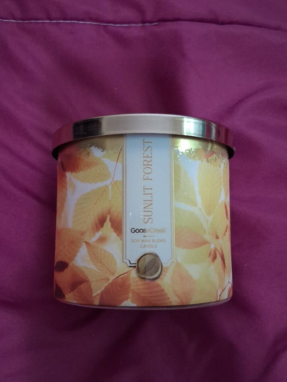 Goose Creek 3 Wick Candle - Sunlit Forest (Balsam/Citrus/Amber)